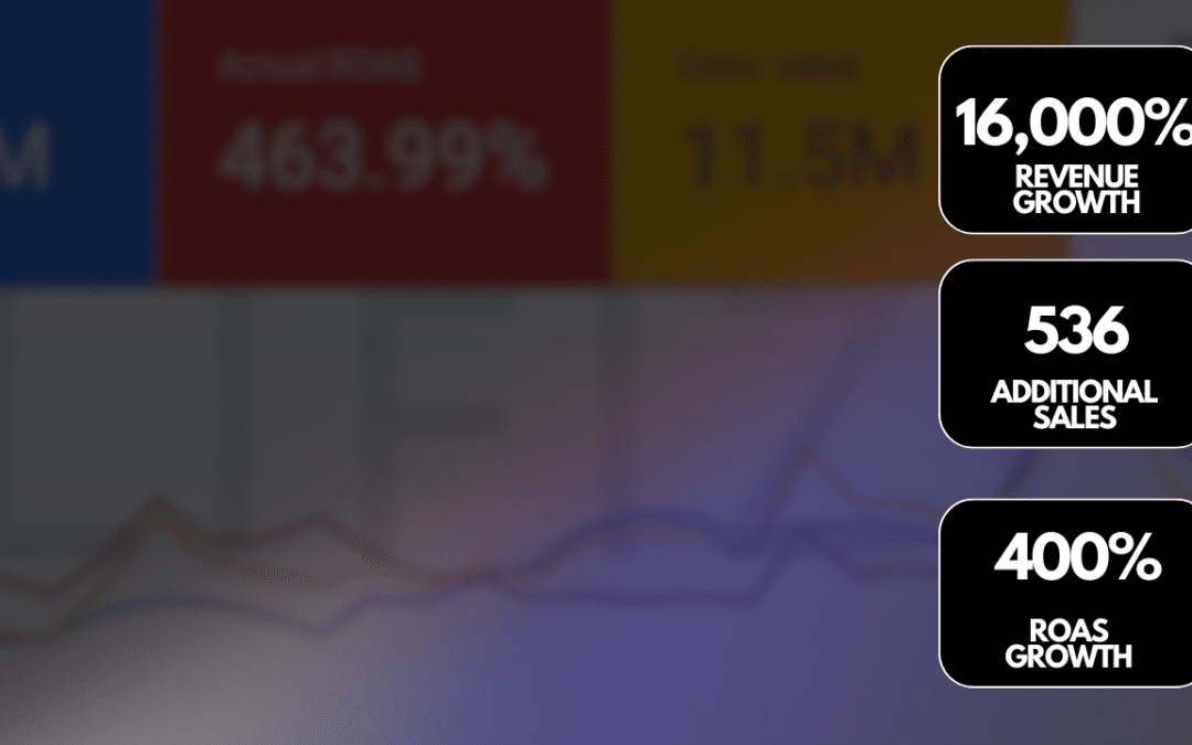 Sports Brand: From 6 Sales to €100K Revenue: A 16,000% Growth Story